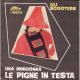 gli scooters - le pigne in testa