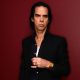 nick cave