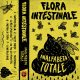 flora intestinale - analfabeta totale