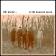 the agency - in the haunted woods