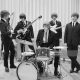 byrds 1966