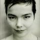 bjork 1990