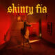 fontaines dc - skinty fia