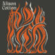 alison cotton - the portrait you painted of me