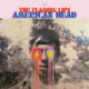 the flaming lips - american head