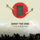 giant the vine - a chair at the backdoor