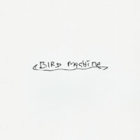 sparklehorse - bird machine