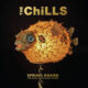 the chills - spring board the early unrecorded songs
