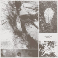 park jiha - all living things
