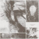 park jiha - all living things