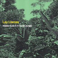 lay llamas - hidden eyes in a ghost jungle
