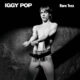 iggy pop - rare trax