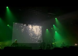nocturnal rain forest 3