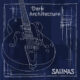 salinas - dark architecture