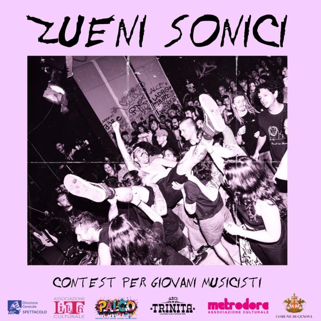 zueni sonici