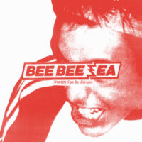 bee bee sea - stanzini can be allright