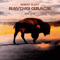 robert plant - saving grace