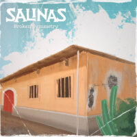 salinas - broken symmetry