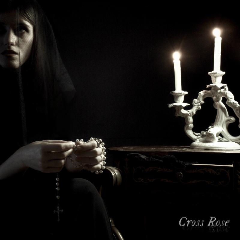 wild cats - cross rose