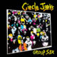 circle jerks - group sex