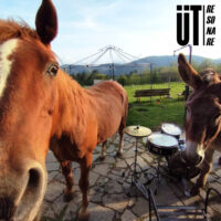 ut - resonare