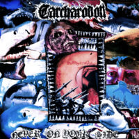 carcharodon - never on your side