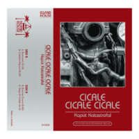 cicale cicale cicale - kapùt katastrofa